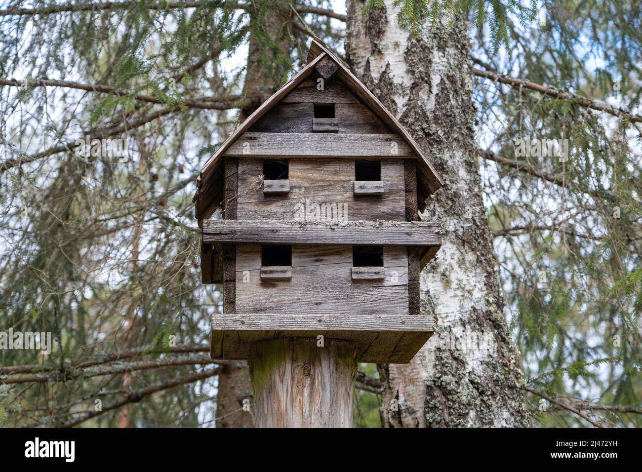 birdhouses grande su recinzione rustica di legno. primo piano di bella casa di uccello colorata di legno. Foto Stock
