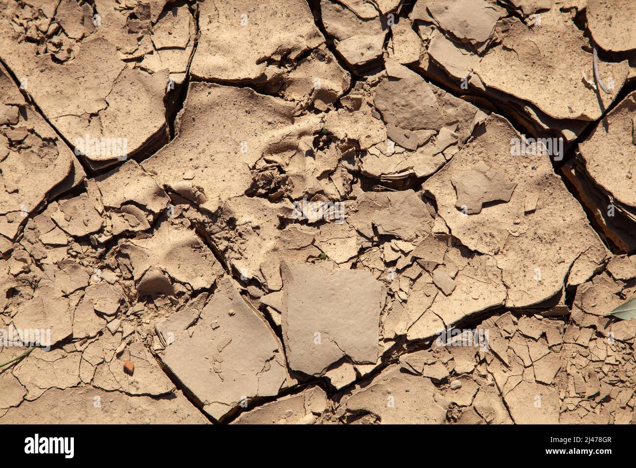 Fondo di suolo asciutto incrinato. Carenza d'acqua e concetto di siccità. Foto Stock