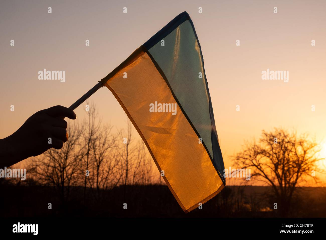 bandiera dell'ucraina sullo sfondo del cielo del tramonto. Foto Stock