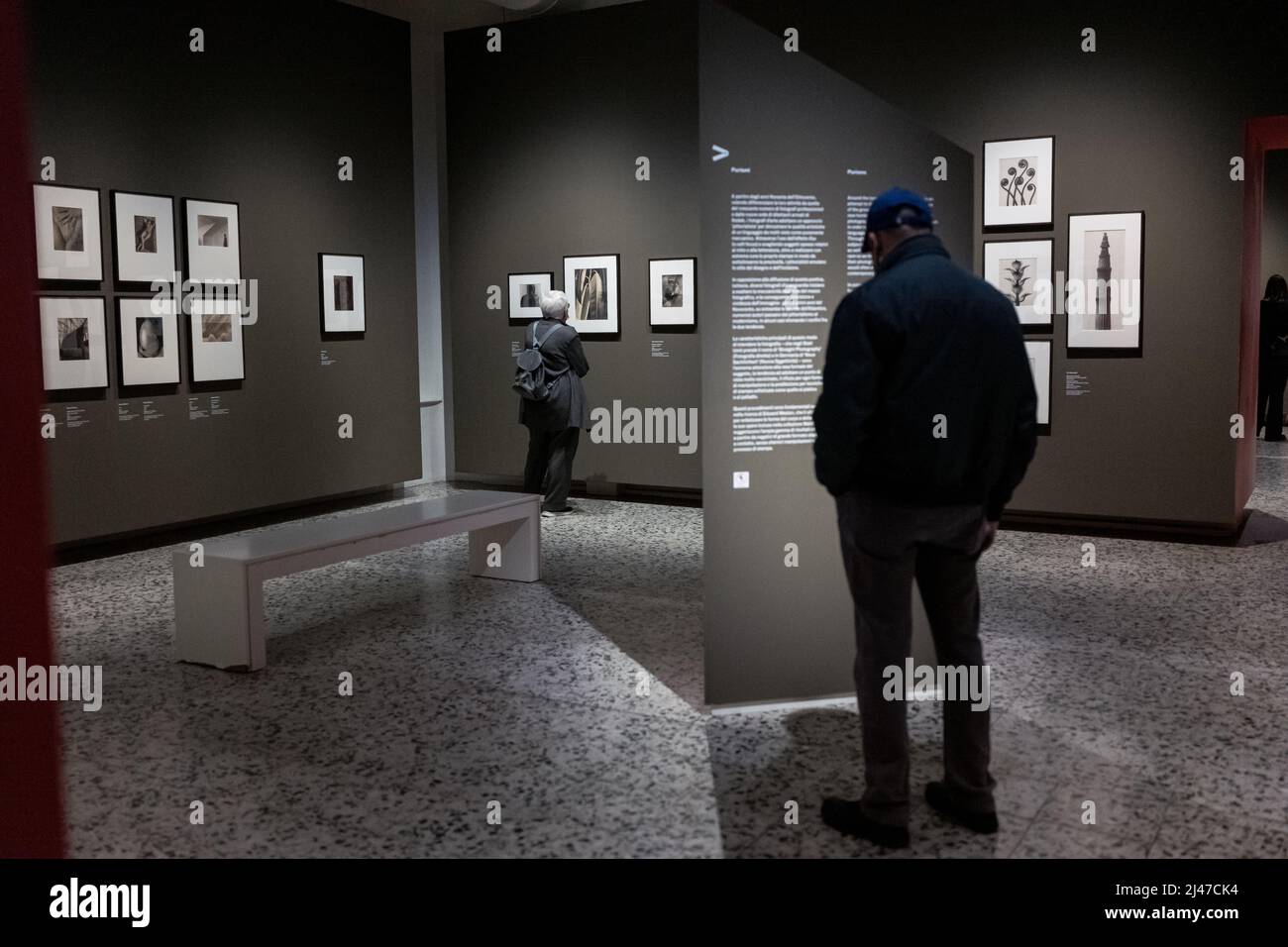 Persone che partecipano alla mostra sulla collezione Thomas Walther del MOMA di New York a Torino Foto Stock