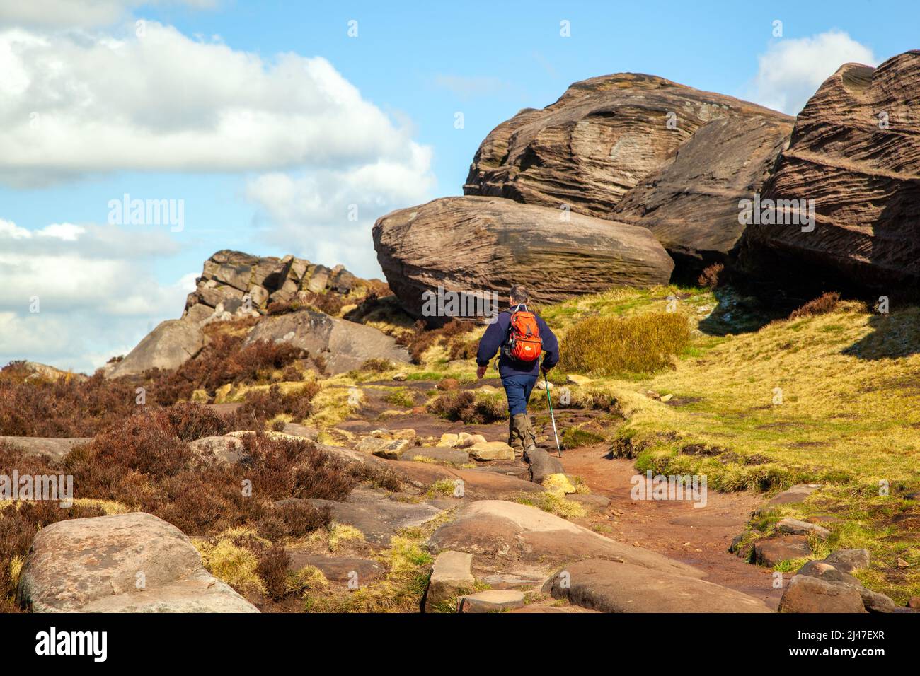 Collina uomo a piedi nel Parco Nazionale del Peak District sulla gamma di rocce Roaches nelle brughiere di Staffordshire vicino Leek Staffordshire Foto Stock