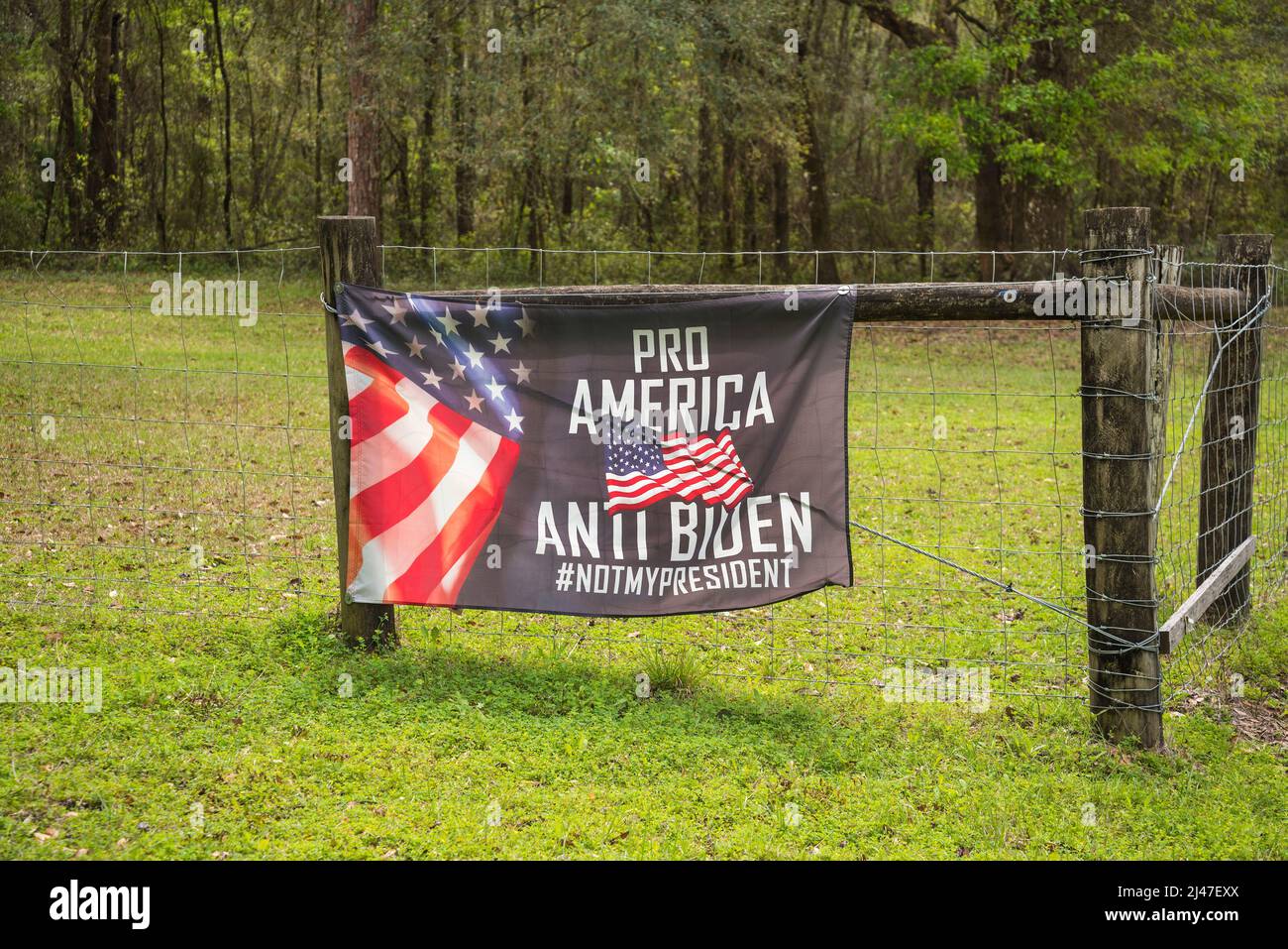 Segni politici apparsi lungo una strada rurale nel nord della Florida. Foto Stock