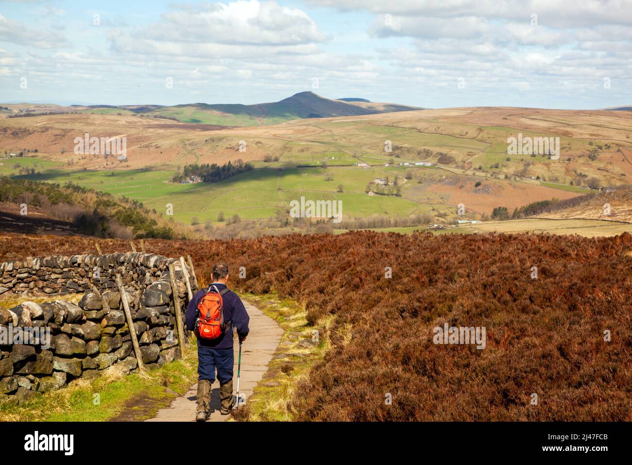 Collina uomo a piedi nel Parco Nazionale del Peak District sulla gamma di rocce Roaches nelle brughiere di Staffordshire vicino Leek Staffordshire Foto Stock