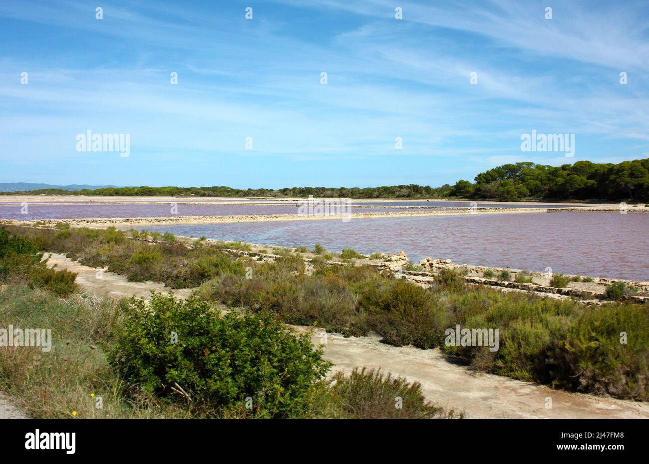 panorama delle paludi saline marittime nell'ambiente turistico dell'isola di formentera in estate Foto Stock