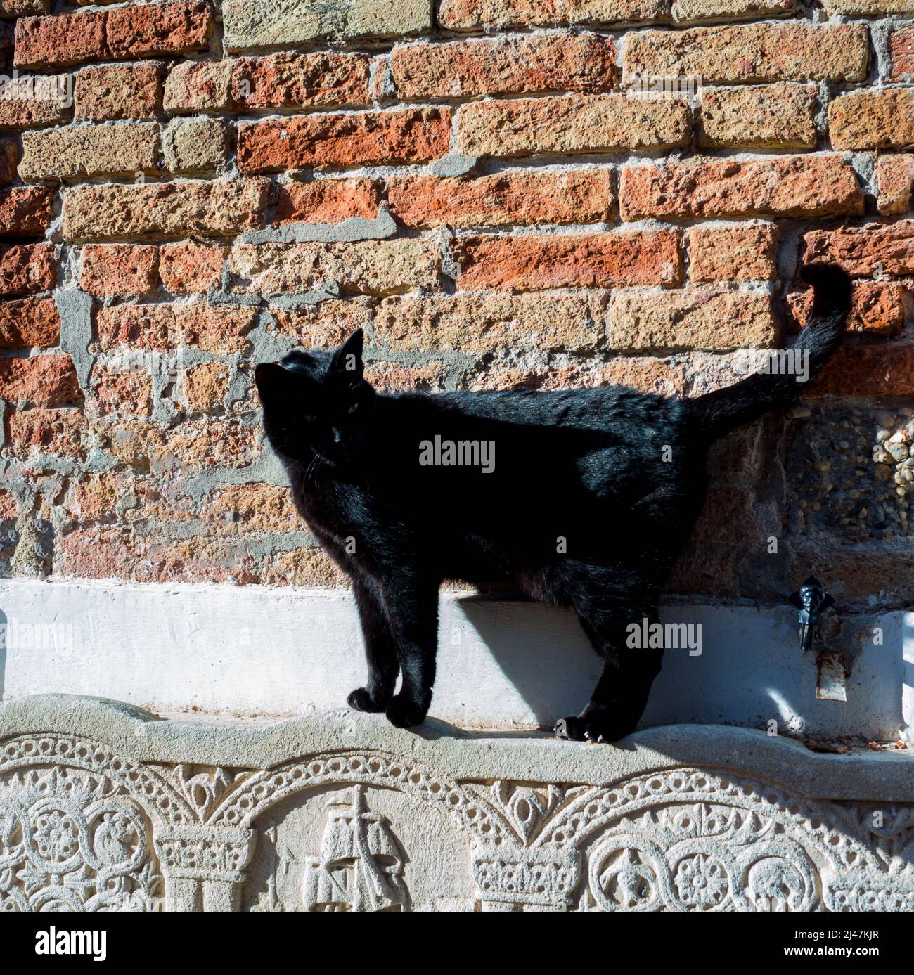 Un gatto nero sulla panca decorata Foto Stock
