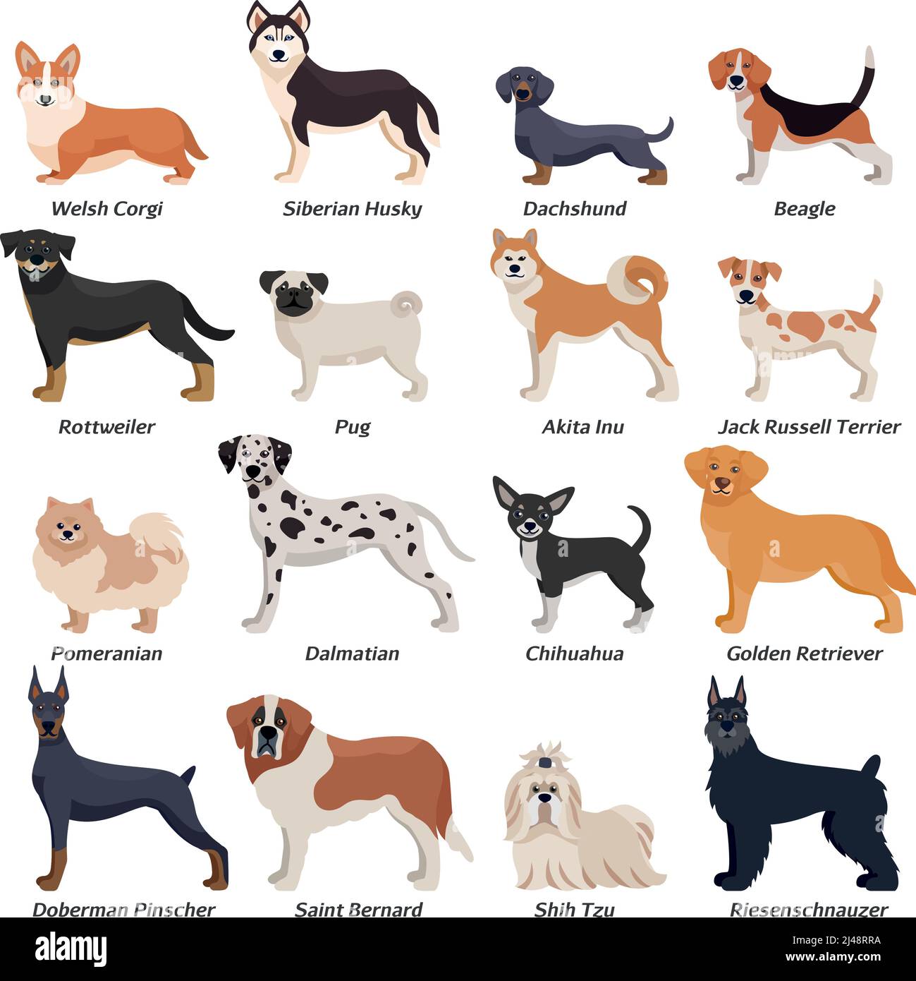 Set di icone colorate di cani in rosso pureo con buccia di razza gallese Rottweiler Dalmazia akita inu razze illustrazione vettoriale Illustrazione Vettoriale