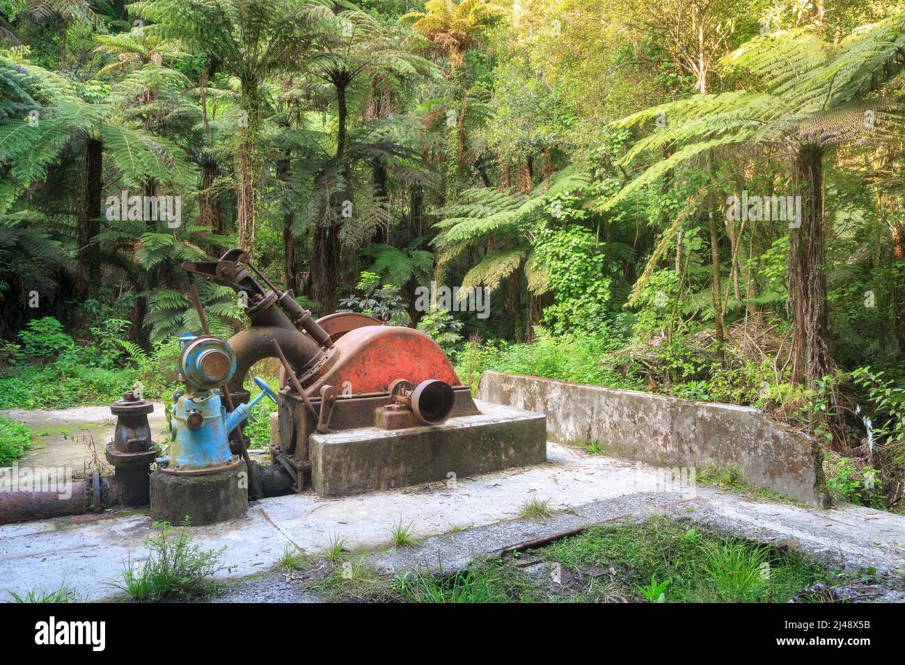 Un vecchio generatore circondato da foresta, tutto ciò che rimane della centrale di Karaponga (costruito nel 1922) nella baia di Plenty, Nuova Zelanda Foto Stock