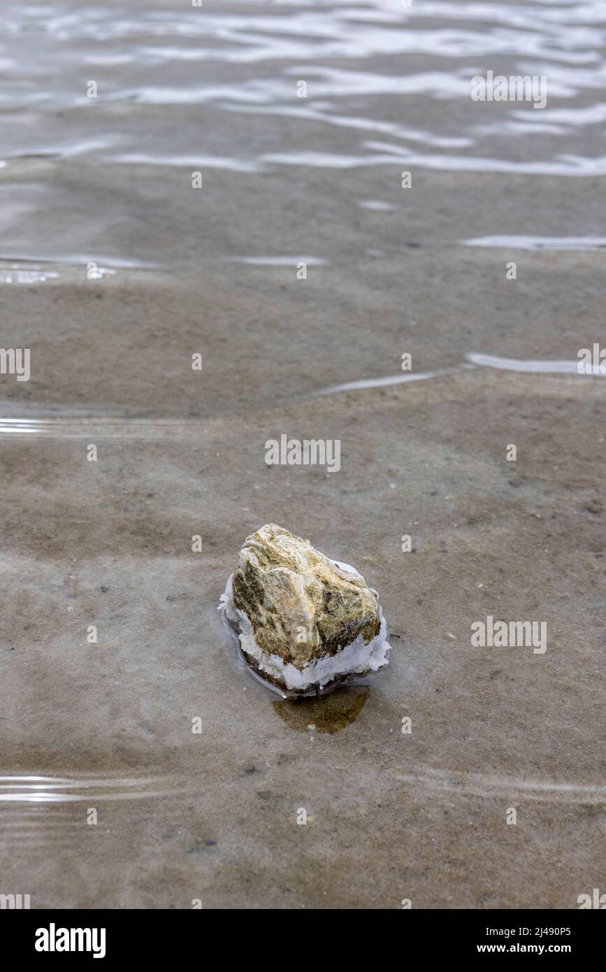 Pietra con cristalli di sale che giacciono nelle acque poco profonde delle  saline di Jan Thiel sull'isola caraibica di Curacao Foto stock - Alamy