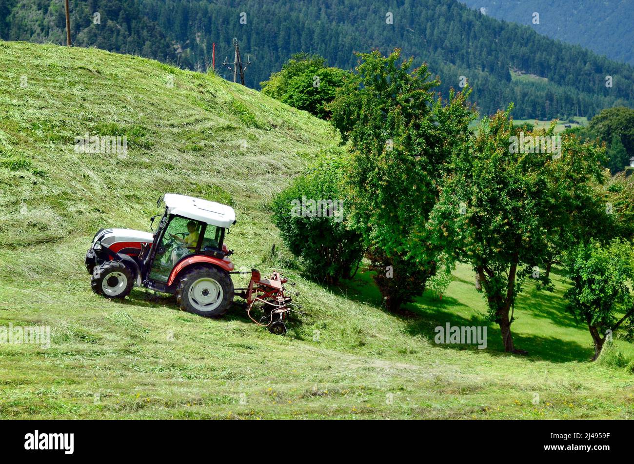 Austria, agricoltore su trattore per raccolto di fieno su alpeggi in Tirolo Foto Stock