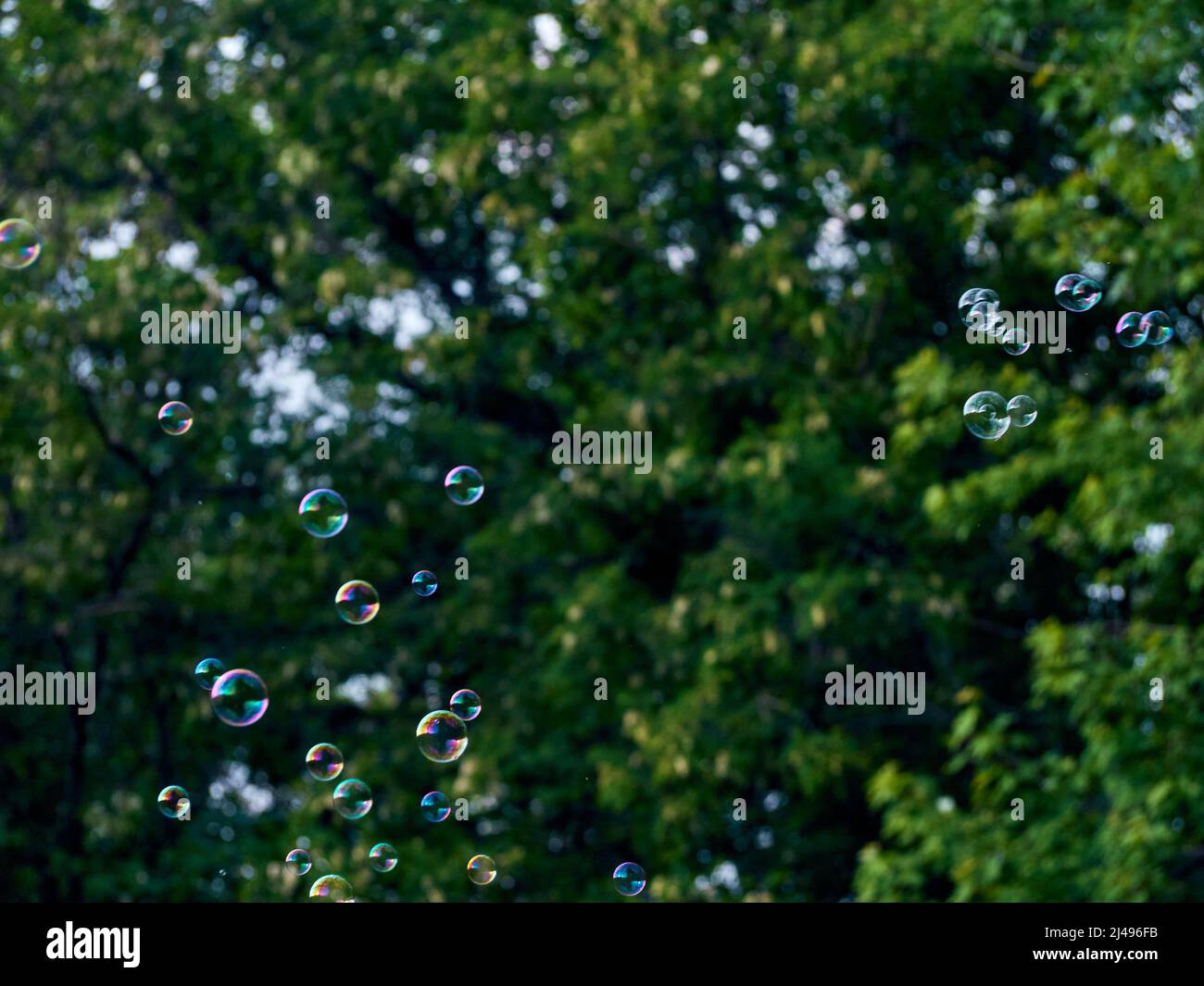 Bolle di sapone su sfondo verde natura. Foto Stock