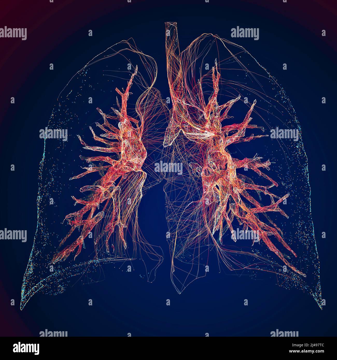 Respiro corto, difficoltà respiratoria, dispnea acuta e cronica. Sintomi e diagnosi. Radiografia dei polmoni. Polmonite. 3d rendering. Anatomia umana Foto Stock