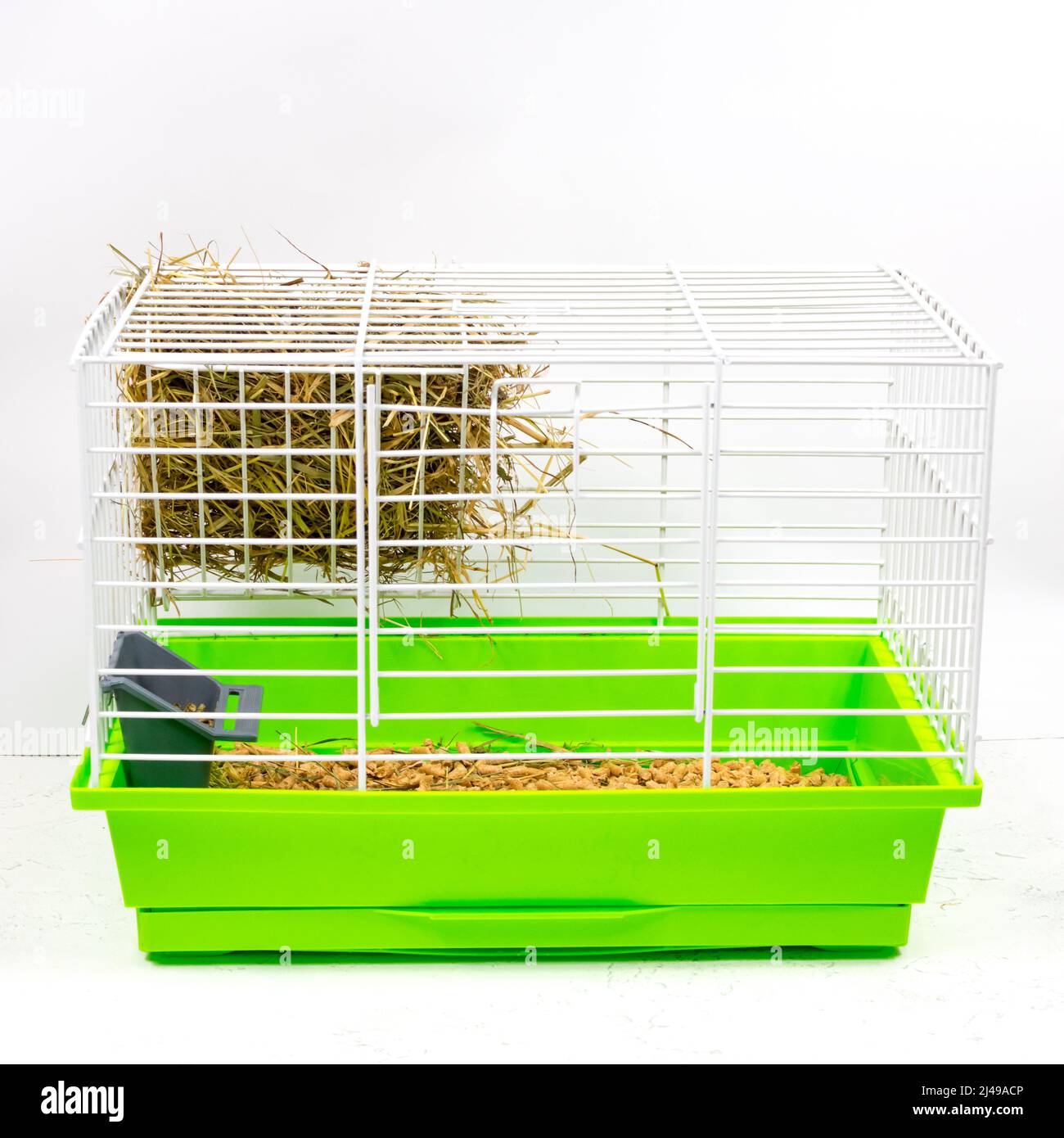 Gabbia per animali con pallet verde di trucioli, segatura, mangime, fieno e  fieno. Tenere animali domestici in gabbie. Vista laterale Foto stock - Alamy