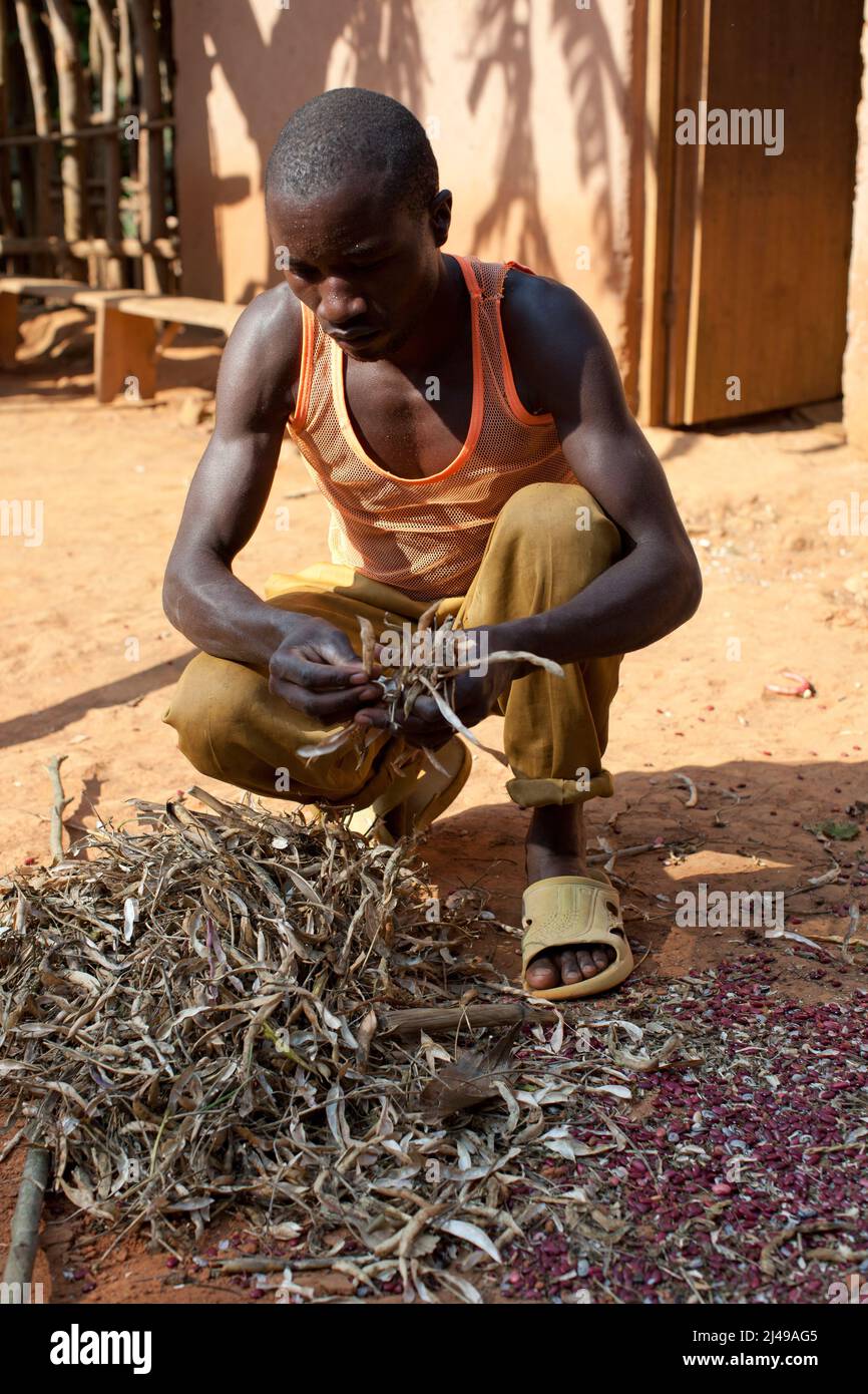 Emmanuel Nkundimana, 27 anni, moglie Claudine Uwamahoro, 23 anni e figlio. Villaggio di Karaba, cella di Mwumba, settore Busengo, distretto di Gakenke. Qui porta parte del suo raccolto di fagioli da terra affittata nelle paludi. Era un orfano, perse entrambi i genitori nel 1998 a 14 anni, e si curò della sorella minore. Prima del programma lavorava sulla terra di altre persone per guadagnare abbastanza da mangiare. Con il maiale che ha ottenuto dal programma ha venduto i suinetti e comprato una mucca. Ora affitta terra in fattoria e ha un conto di risparmio con SACCO. Fotografia di Mike Goldwater Foto Stock