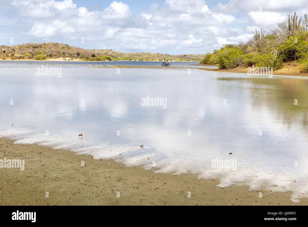 Due persone in bicicletta attraverso le saline Jan Thiel sull'isola caraibica di Curacao Foto Stock