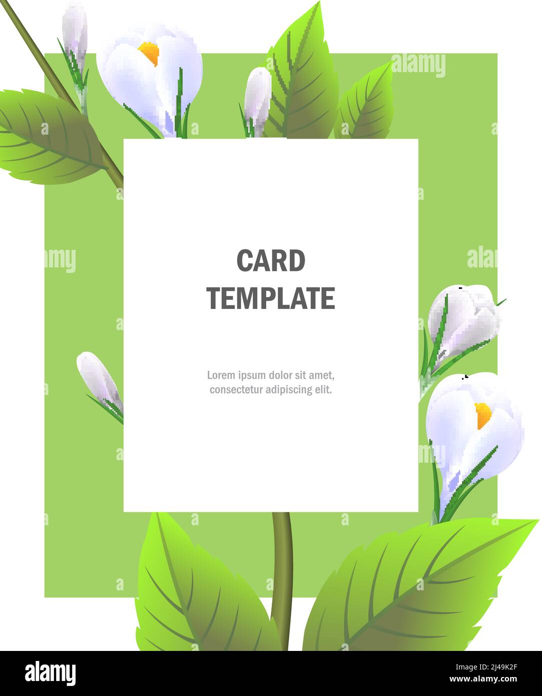 Modello biglietto d'auguri con croci bianchi su cornice verde. Festa, evento, festa. Concetto di vacanza. Può essere utilizzato per inviti, biglietti di auguri, broc Illustrazione Vettoriale