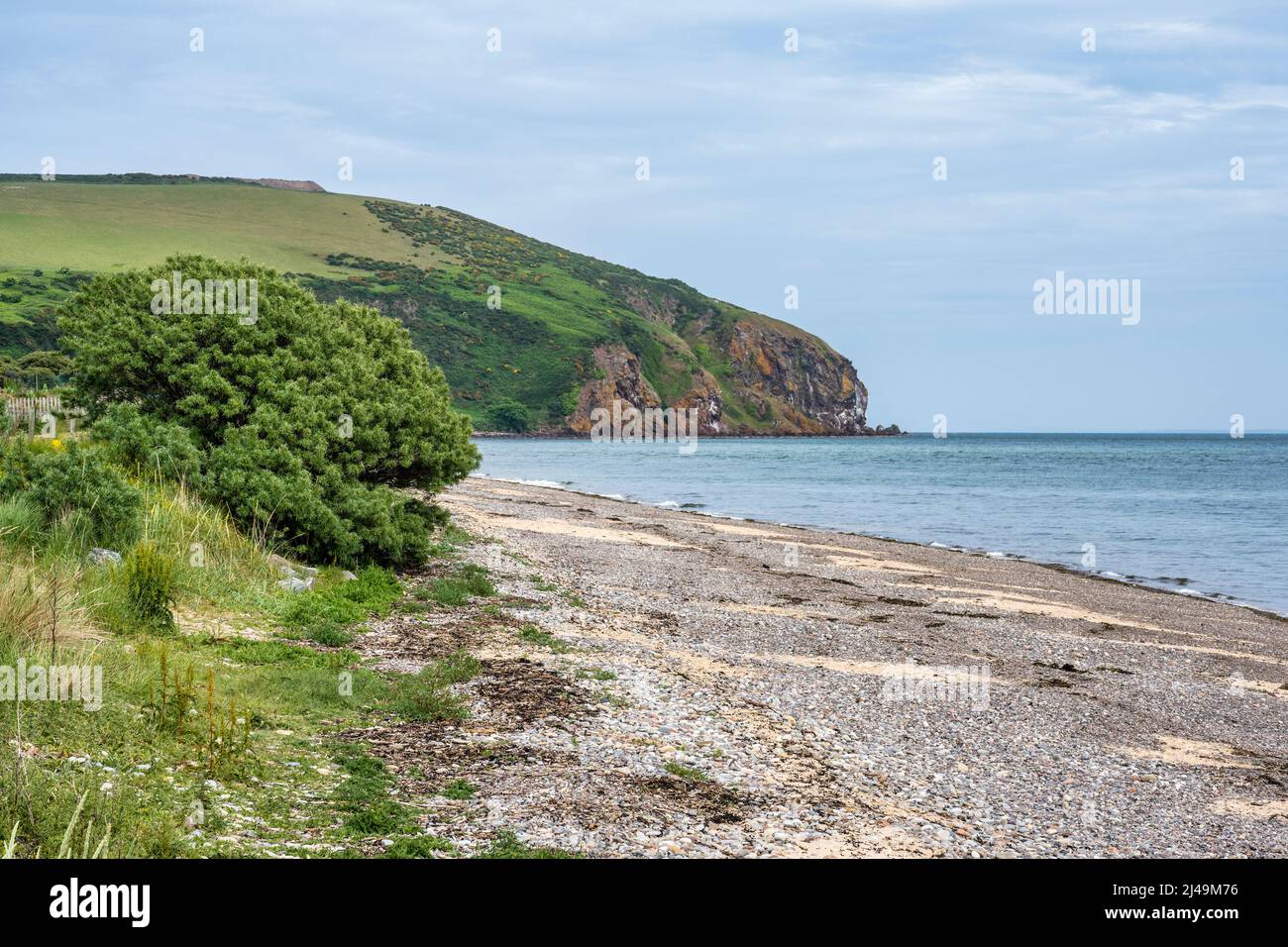 Spiaggia e promontorio sulla costa nord di ingresso a Cromarty Firth a Nigg sulla penisola di Ross di Pasqua, Ross e Cromarty, Highland, Scozia, Regno Unito Foto Stock