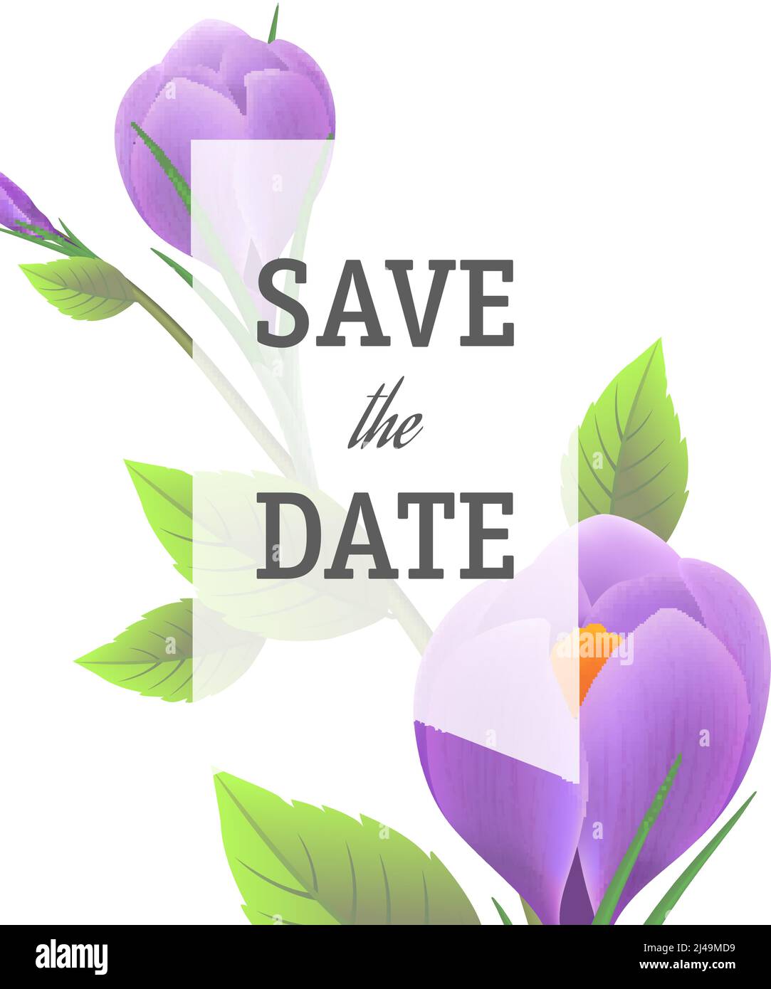 Salva il modello data con croci viola su sfondo bianco con cornice trasparente. Testo scritto a mano, calligrafia. Concetto di evento. Può essere utilizzato per Illustrazione Vettoriale