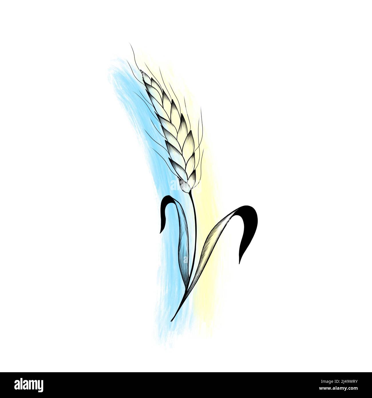 Spikelet di grano e bandiera giallo-blu dell'Ucraina. Acquerello disegno simboli nazionali. Preghiamo per l'Ucraina - fermare la guerra in Ucraina. Dettagliato desi Foto Stock