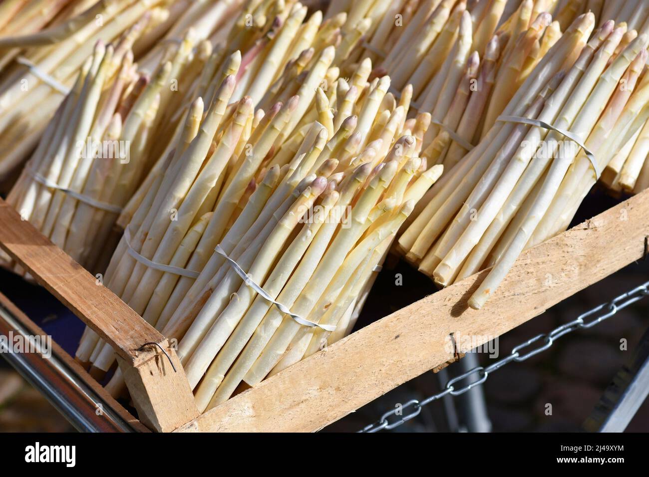 Grappoli di verdure bianche dell'asparago alla stalla del mercato Foto Stock