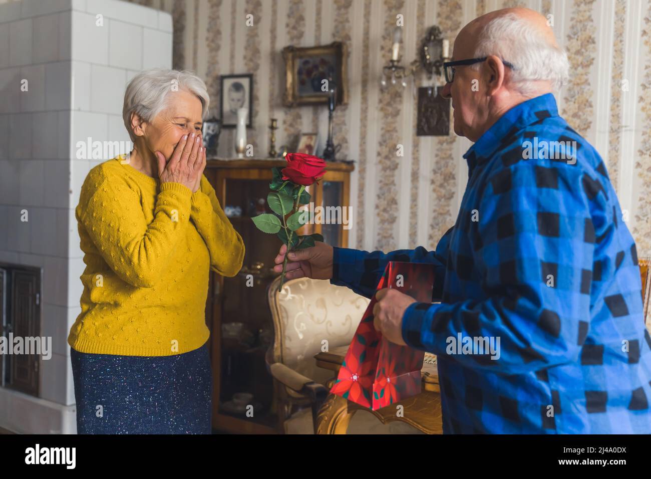 Buon compleanno. Senior pensionato gentleman sorprende la sua moglie anziana commossa con bella rosa rossa e un regalo per celebrare il suo compleanno. Interni vintage. Foto di alta qualità Foto Stock