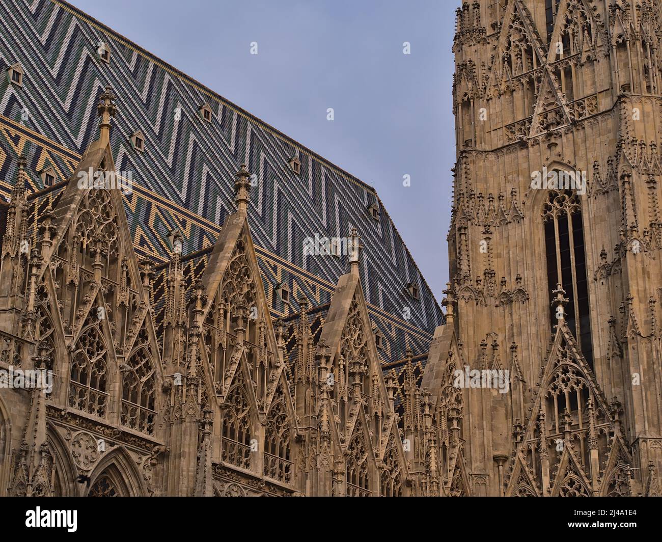 Vista ravvicinata della famosa chiesa di Santo Stefano (Stephansdom) nel centro storico di Vienna, in Austria, in serata. Foto Stock