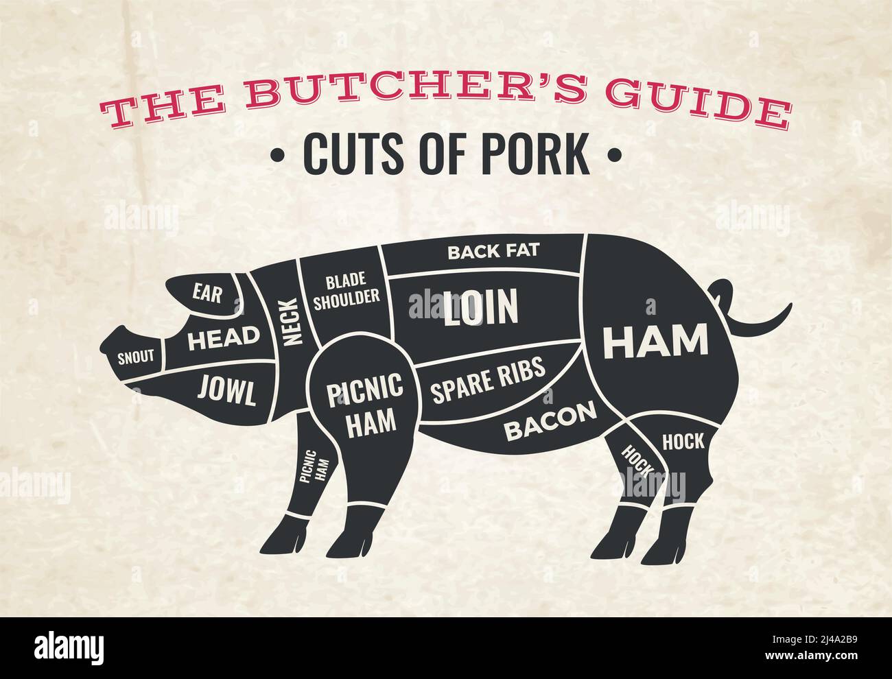 Diagramma di macelleria con silhouette di maiale e tagli di maiale sullo sfondo della vecchia illustrazione vettoriale della carta Illustrazione Vettoriale