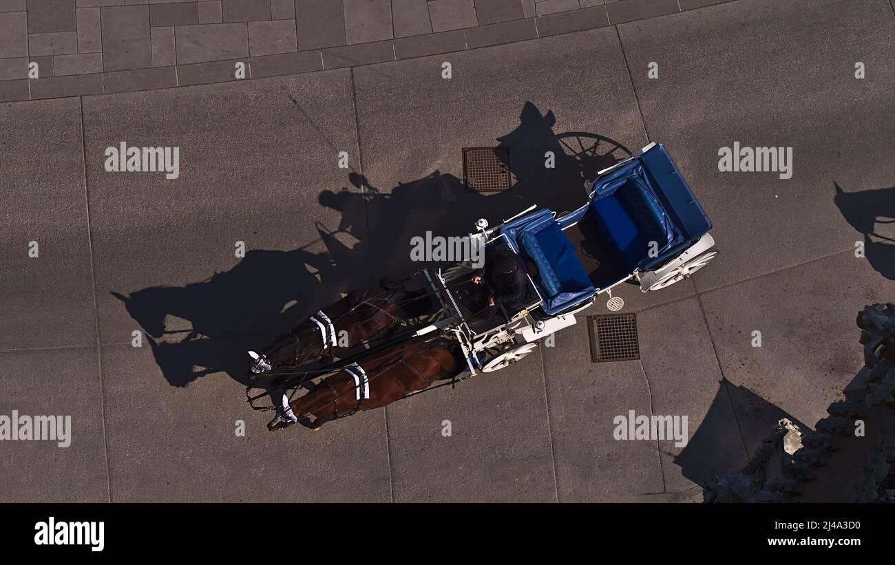 Vista aerea di un singolo pullman fiacre con due cavalli che guidano su una strada asfaltata nel centro storico di Vienna, Austria, in una giornata di sole. Foto Stock