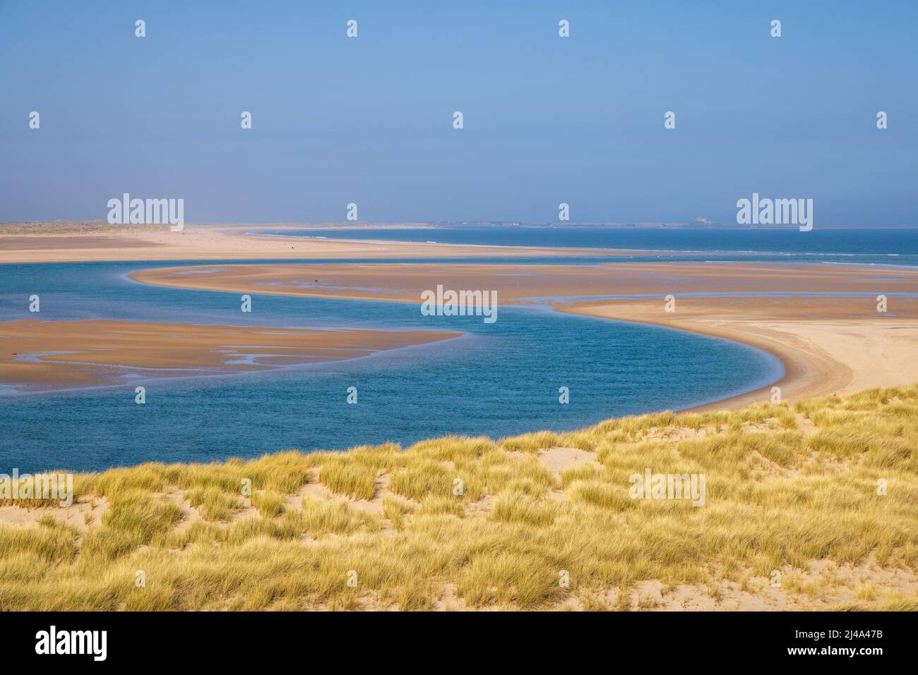 Budle Water a Budle Bay con il castello di Lindisfarne sullo sfondo, Northumberland Coast Path, Inghilterra Foto Stock