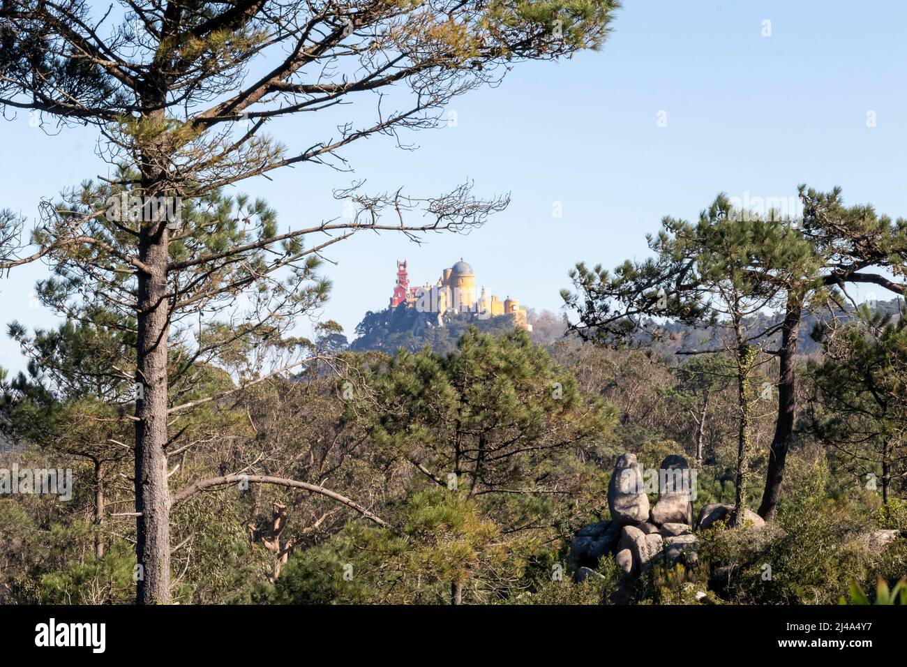 Il Palácio pena, monumento nazionale sulla cima di una collina verde nelle montagne di Sintra in una giornata limpida con cielo blu, Portogallo, Europa Foto Stock