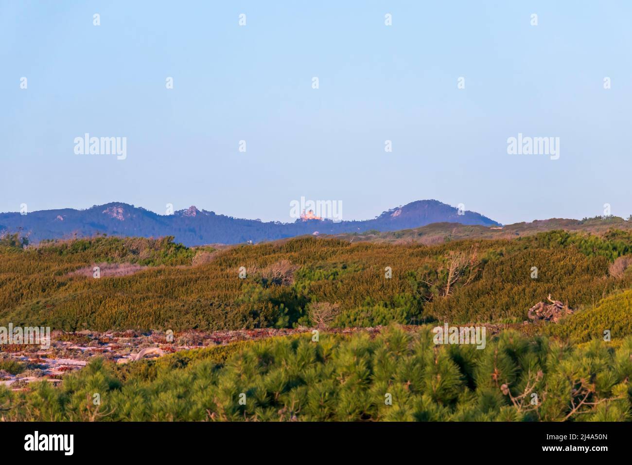 Il Palácio pena, monumento nazionale sulla cima di una collina verde nelle montagne di Sintra in una giornata limpida con cielo blu, Portogallo, Europa Foto Stock