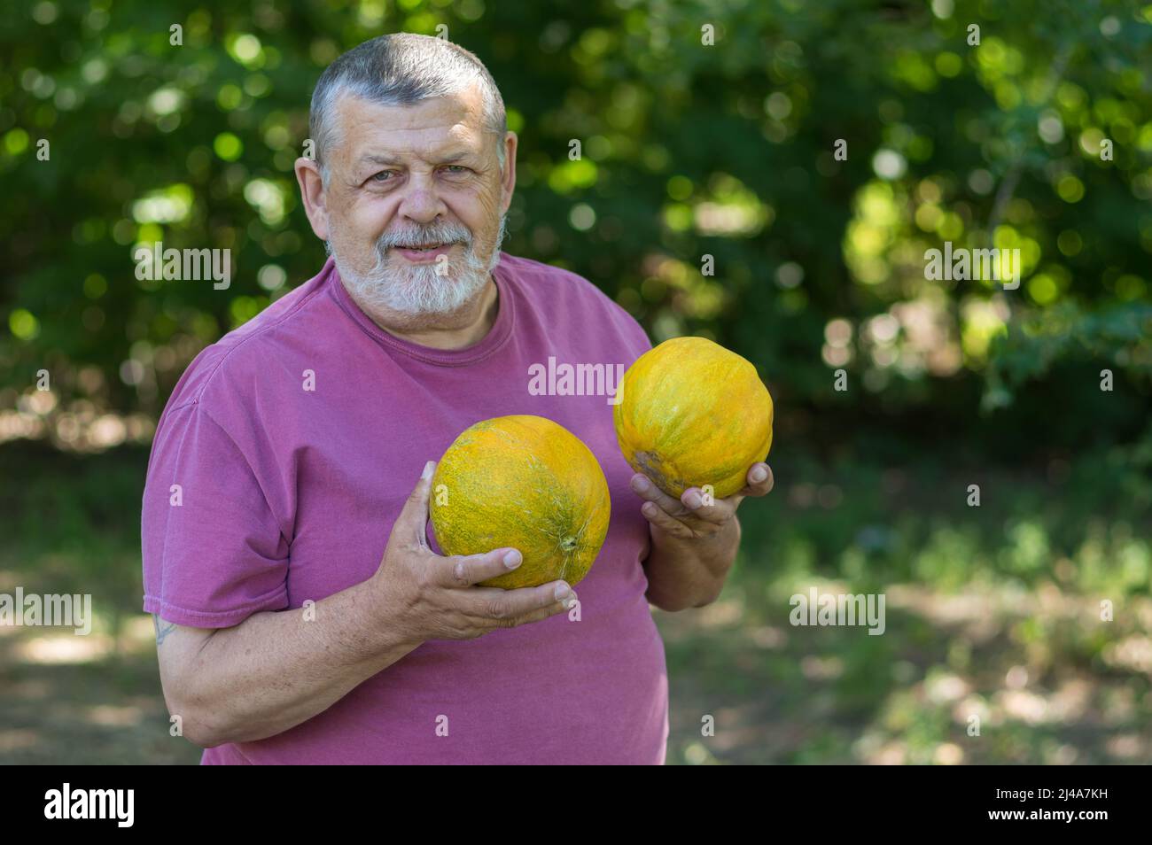 Ritratto di un coltivatore ucraino superiore positivo che è felice con e tenendo in mano meloni maturi Foto Stock