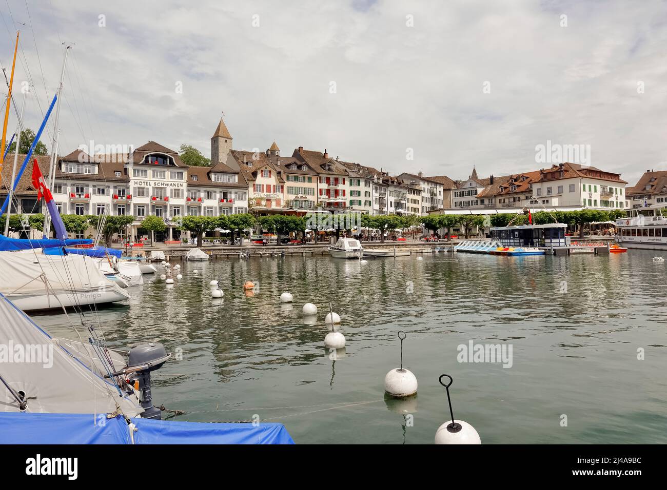 Rapperswil, Svizzera - 10 maggio 2016: Gli edifici di Rapperswil sul lungomare, lungo i quali crescono gli platani di fila. La città è vista qui da Foto Stock