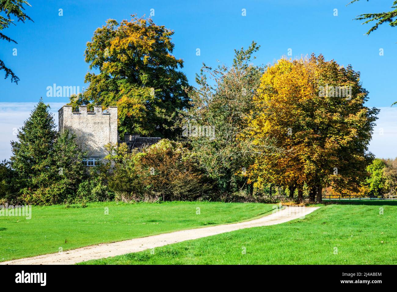 Autunno al Cirencester Park sulla Bathhurst Estate in Gloucestershire. Foto Stock