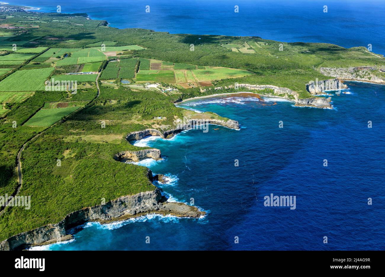 Vista aerea della costa orientale, Grande-Terre, Guadalupa, piccole Antille, Caraibi. Foto Stock