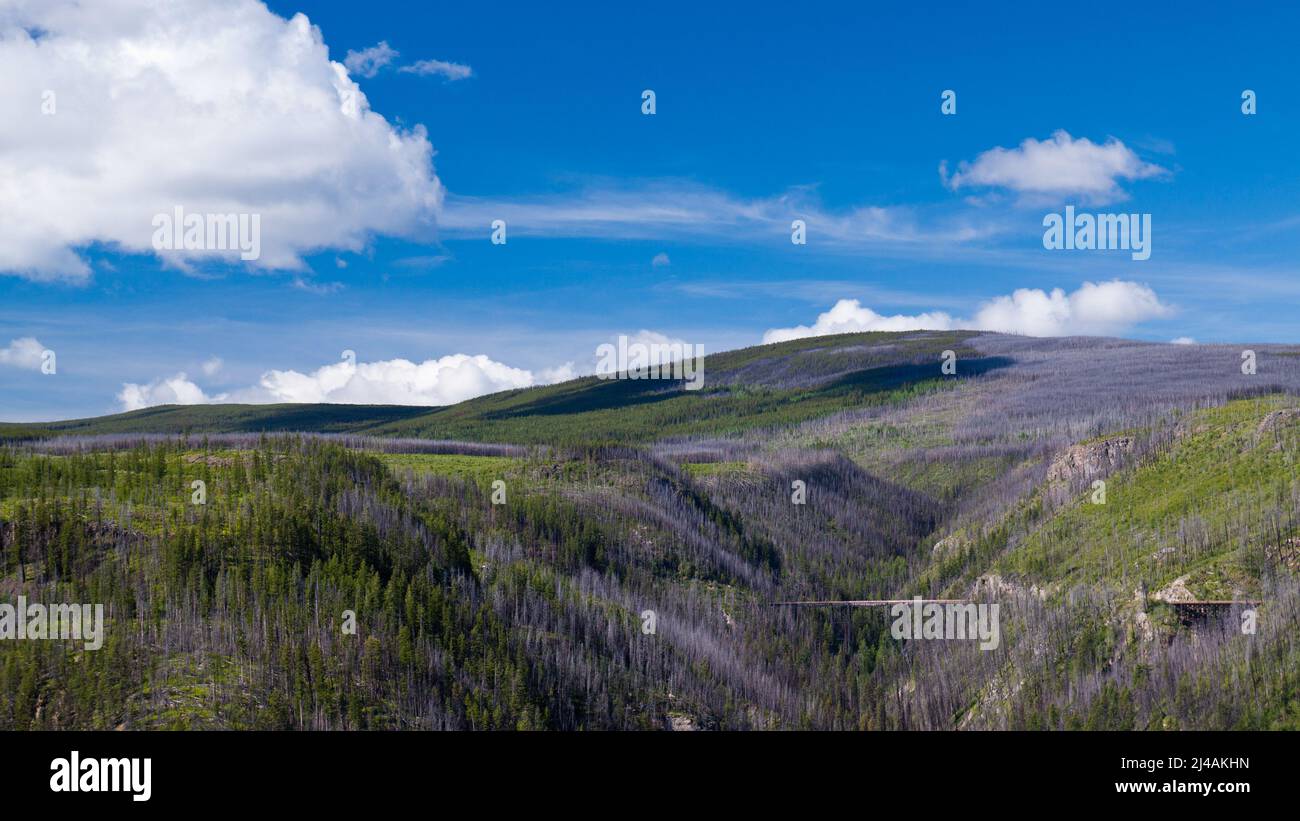Treno traliccio sul bollitore valle ferroviaria nei pressi di Kelowna, British Columbia, Canada Foto Stock