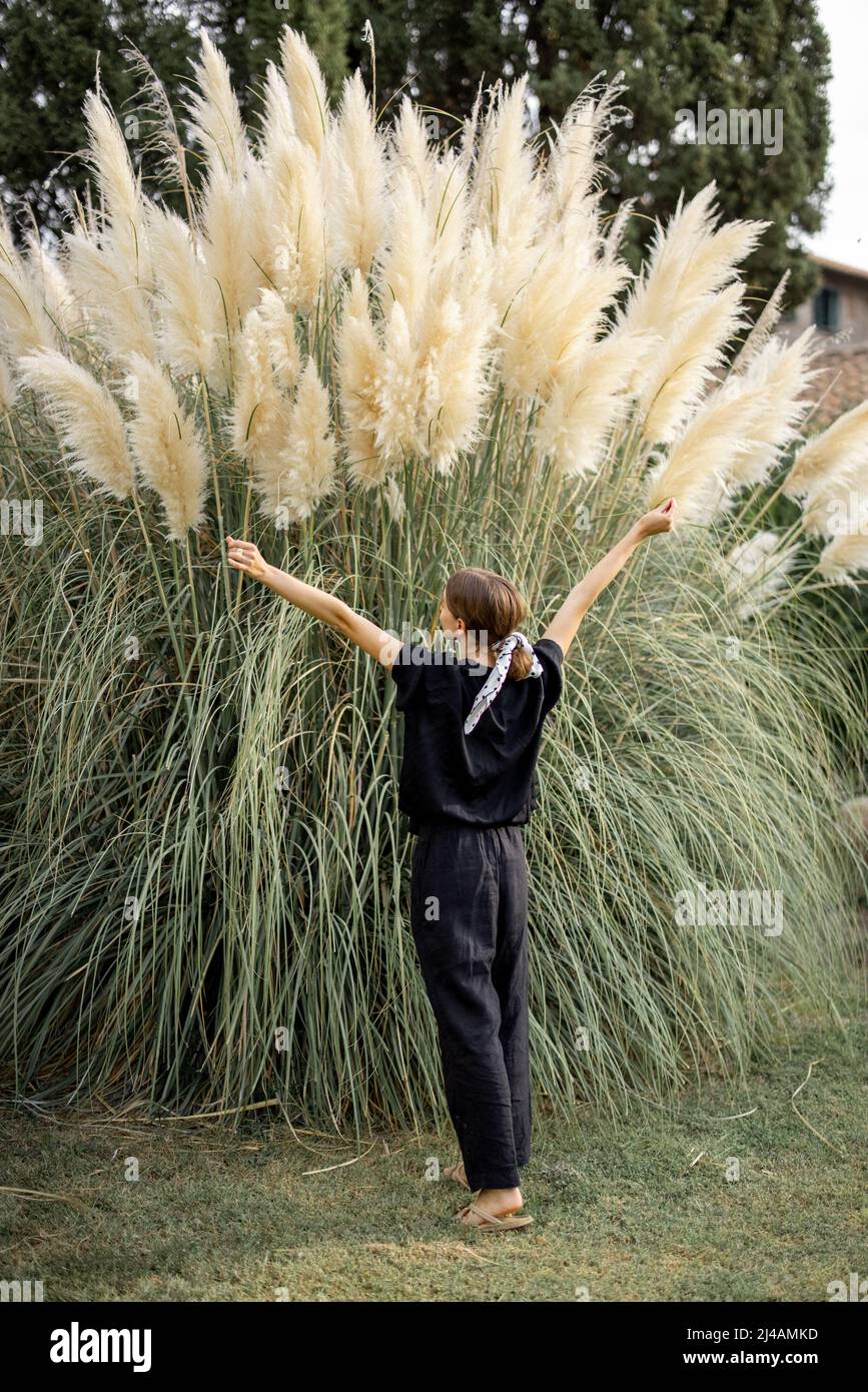La donna gode di bella enorme erba decorativa Pampas al suo giardino Foto  stock - Alamy