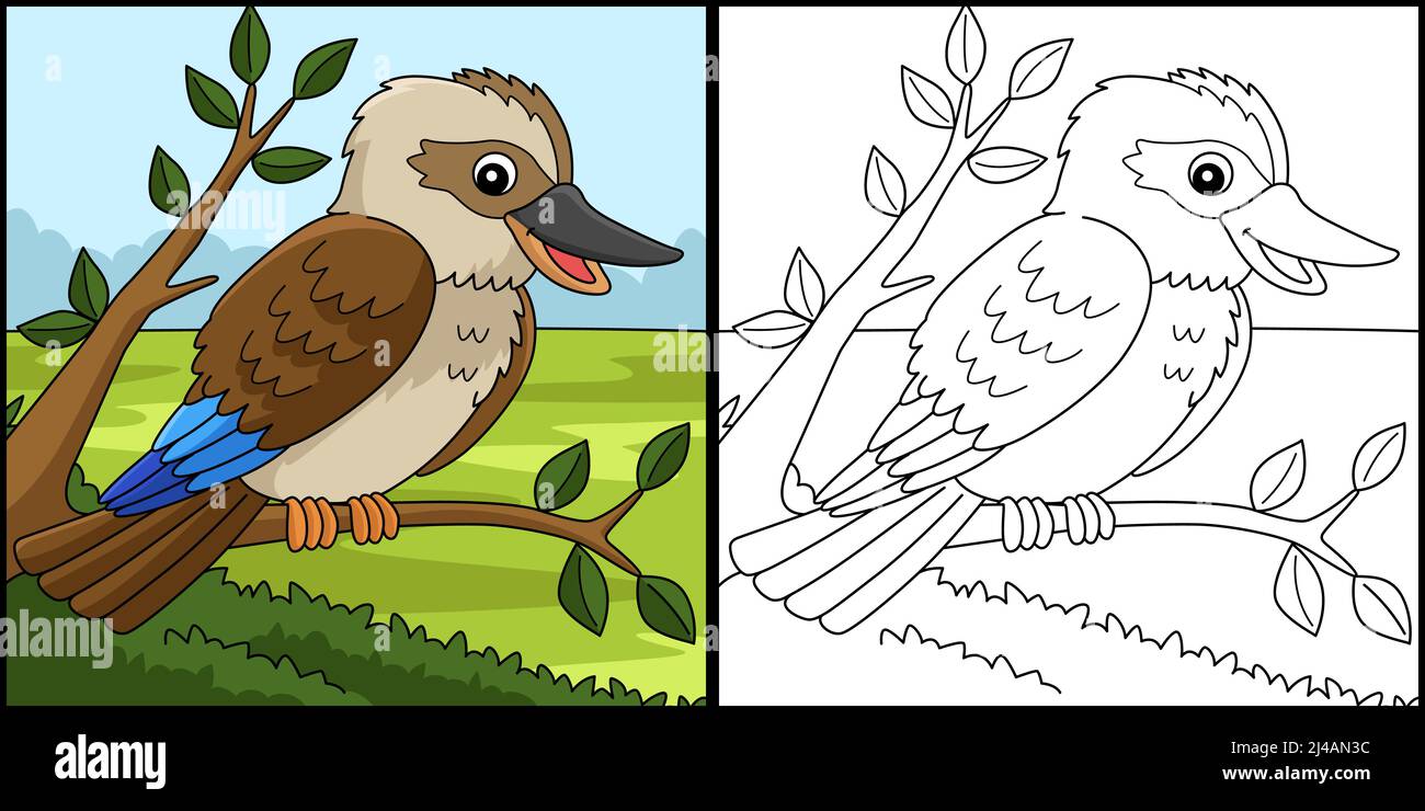 Kookaburra Animal Coloring Page Illustrazione Illustrazione Vettoriale