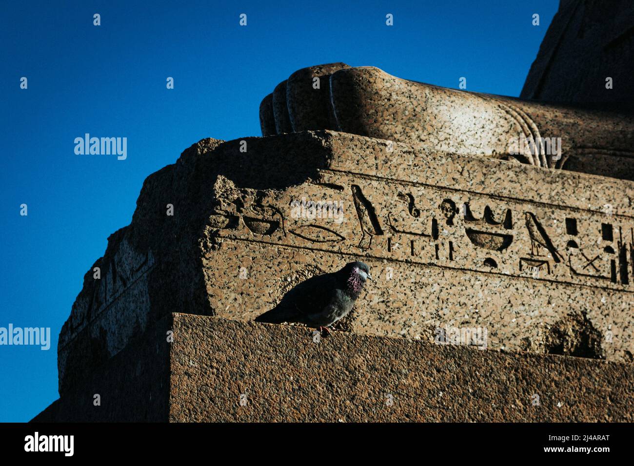 Geroglifici egiziani sfinge antico raggio di luce solare dura Foto Stock