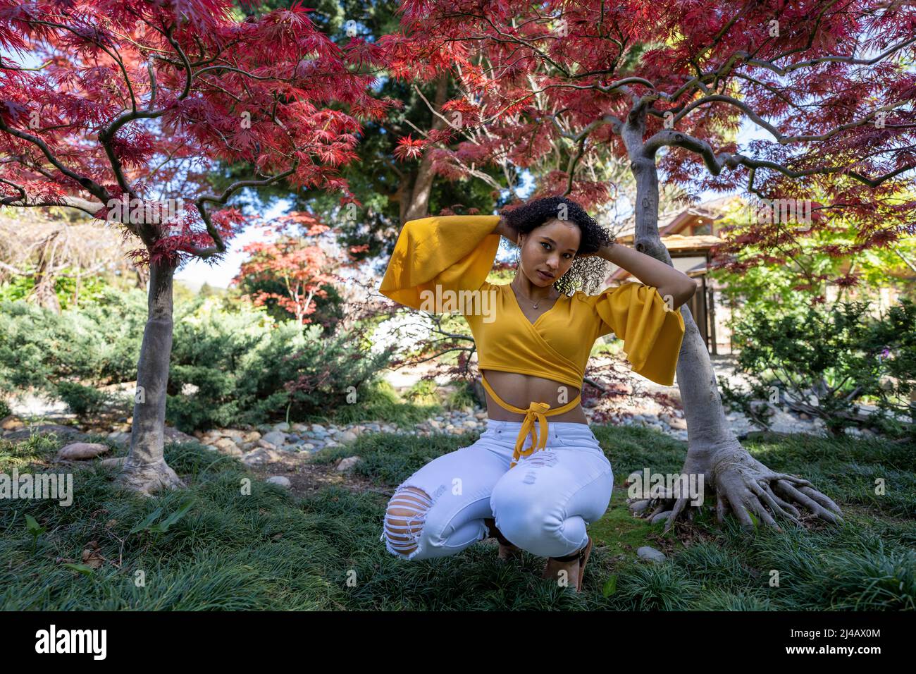 Potente ritratto di una bella giovane donna nera sotto l'albero di acero giapponese Foto Stock