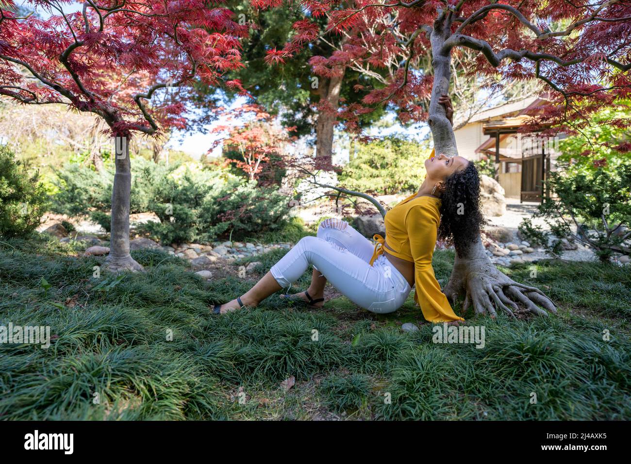 Potente ritratto di una bella giovane donna nera sotto l'albero di acero giapponese Foto Stock