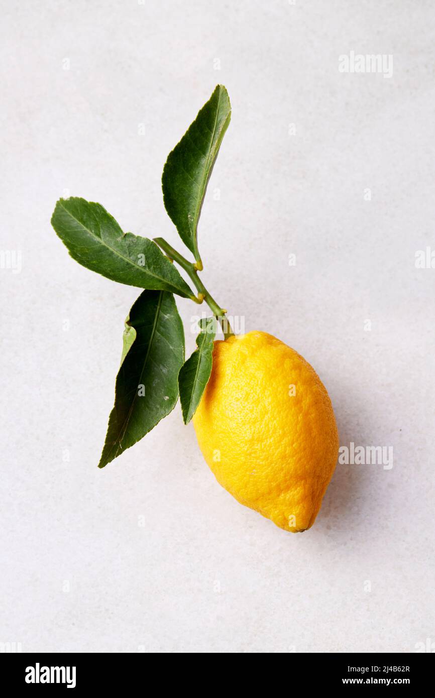 LIMONI DI AMALFI Foto Stock