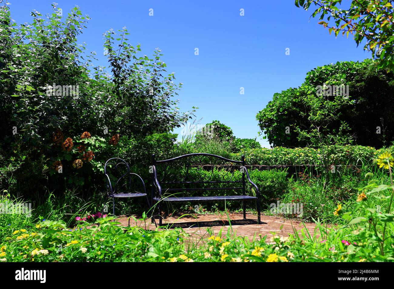 Panca in ferro nero in un rigoglioso giardino Foto Stock