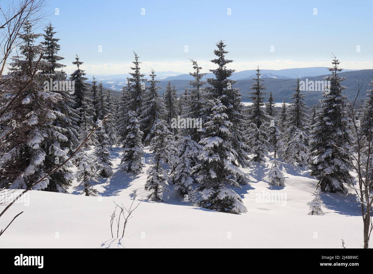 Soleggiato scenario invernale nelle montagne di Jizera, Repubblica Ceca, popolare per lo sci di fondo. Foto Stock