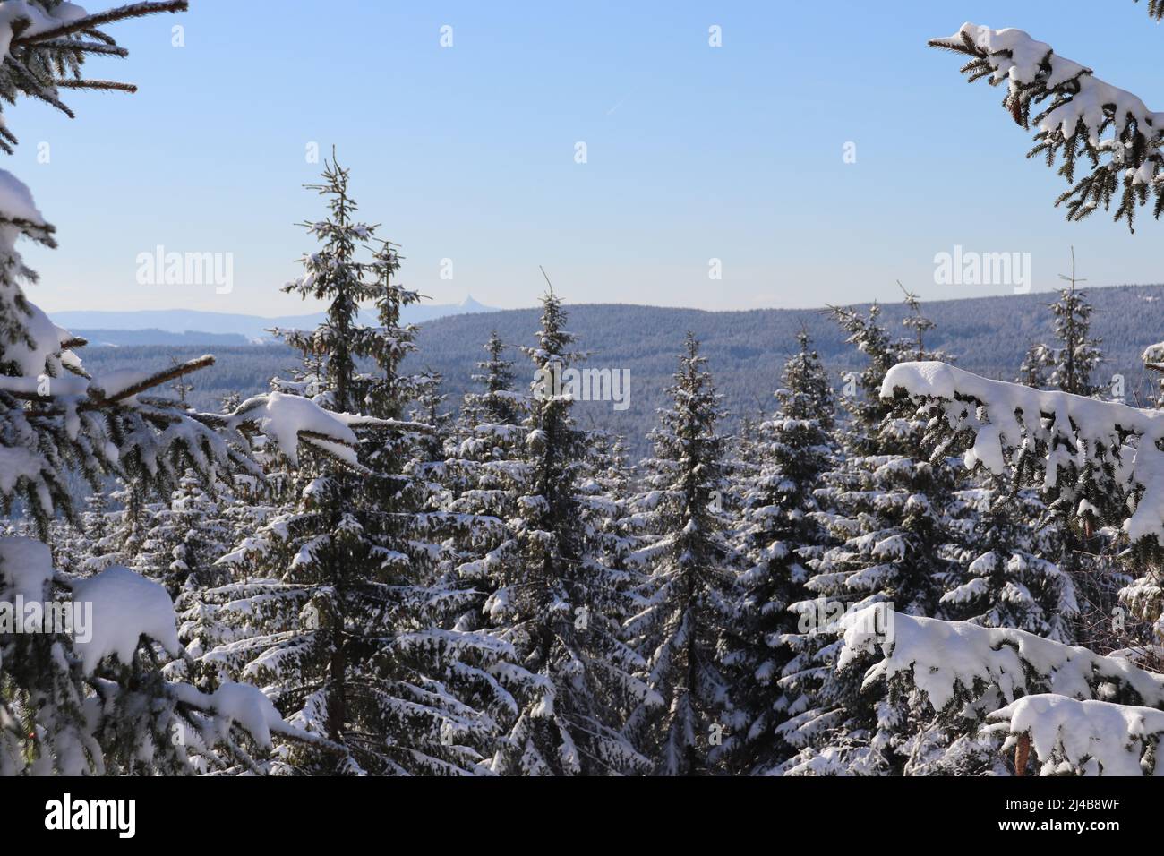 Soleggiato scenario invernale nelle montagne di Jizera, Repubblica Ceca, popolare per lo sci di fondo. Foto Stock