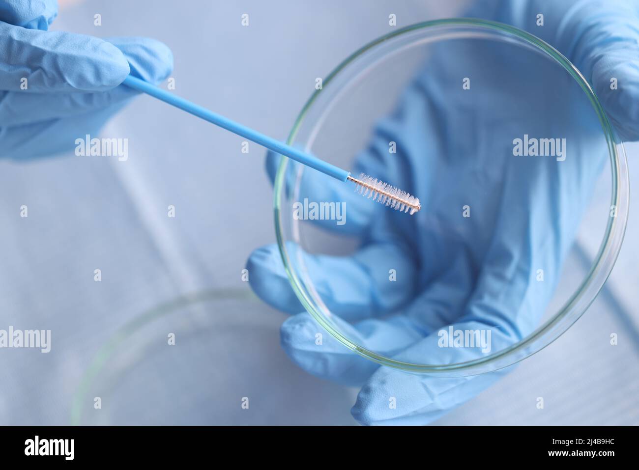 L'operatore di laboratorio può tenere un contenitore in vetro con spazzola per provette, lavorare con guanti sterili Foto Stock