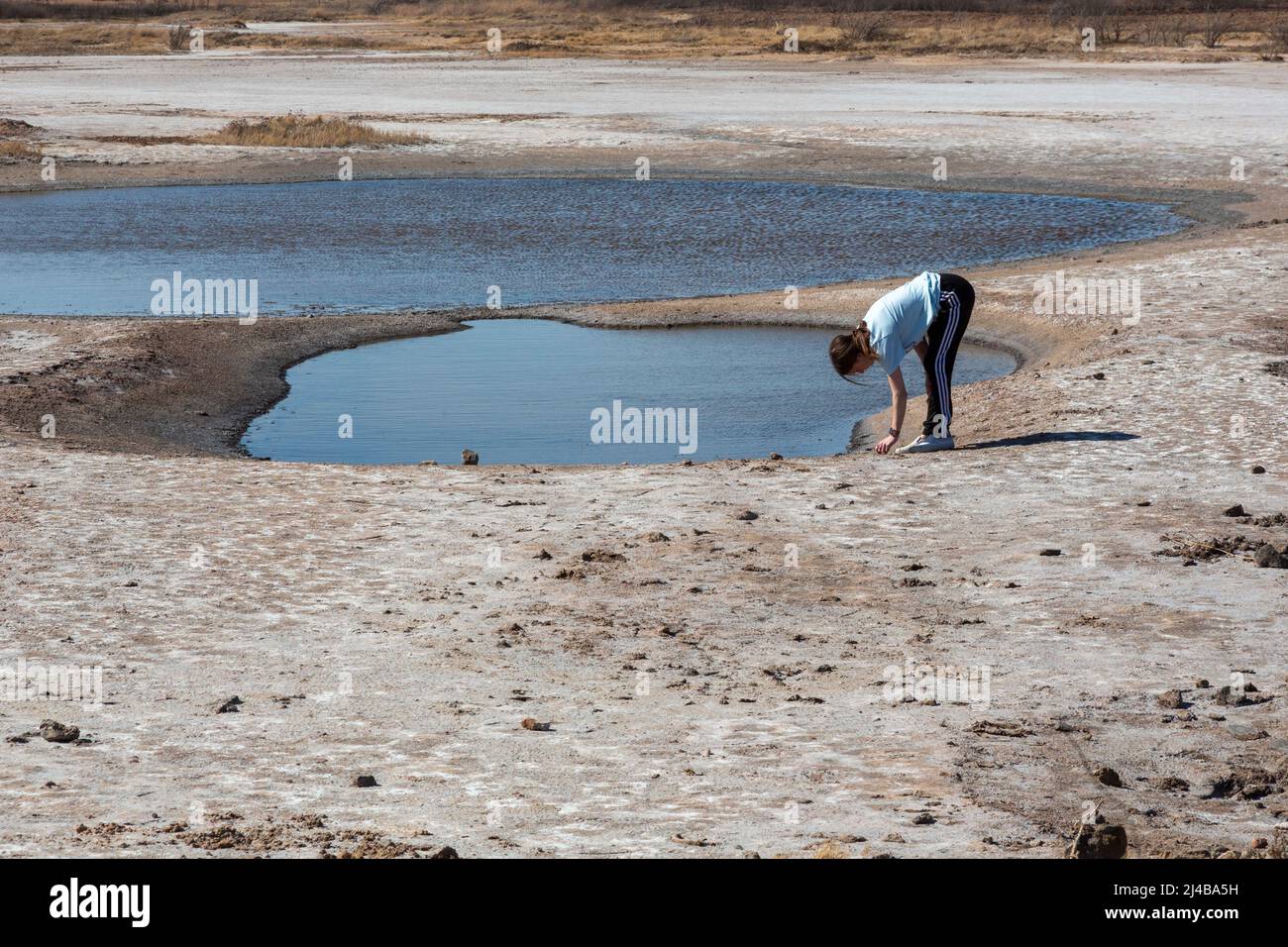 Cherokee, Oklahoma - Salt Plains National Wildlife Refuge. Foto Stock