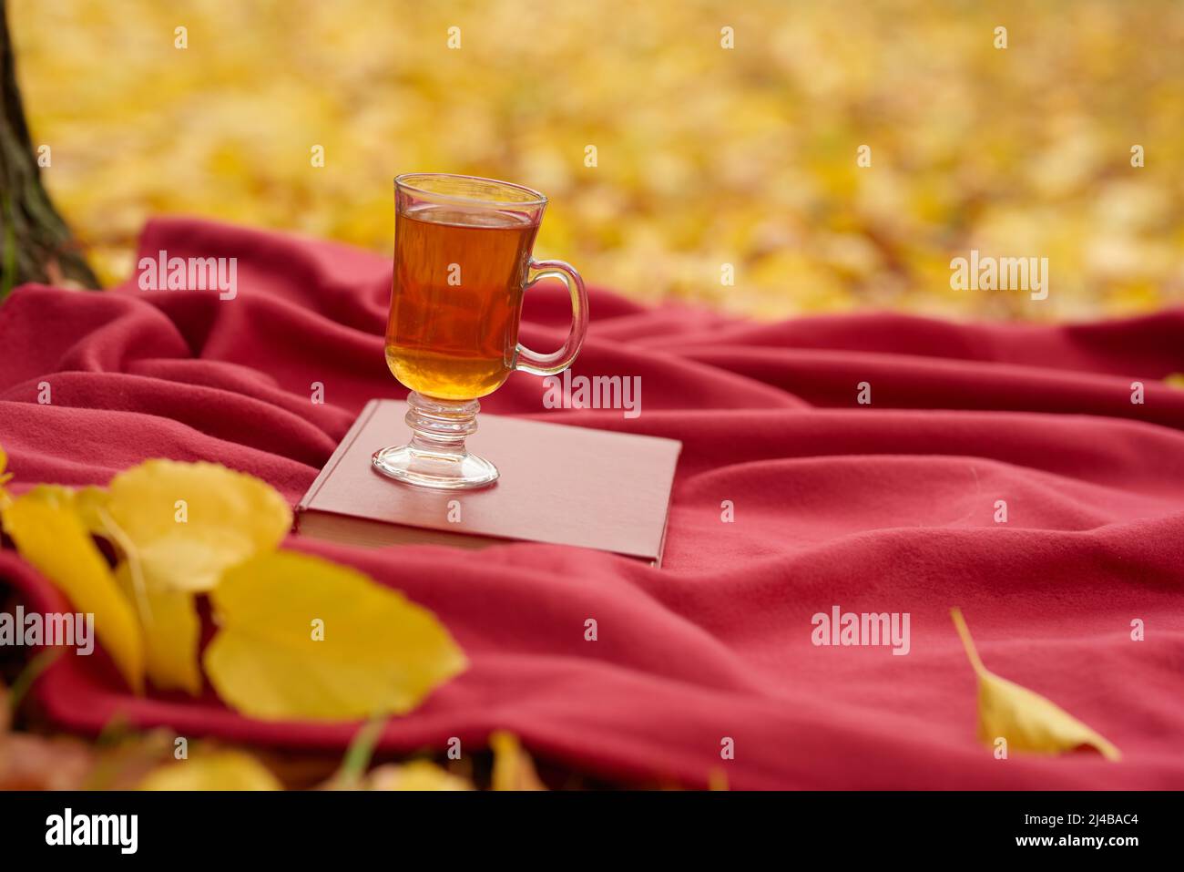 tè con un libro su una coperta calda nel parco autunnale Foto Stock