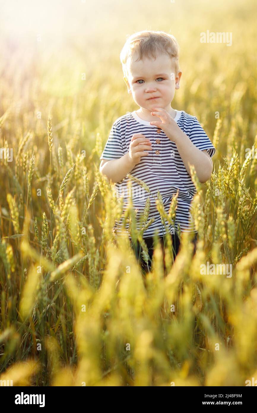 Il ragazzo carino in una T-shirt a righe sta posando tranquillamente in un campo di segale dorato. La luce del sole della sera illumina splendidamente l'orecchio di segale. Foto Stock