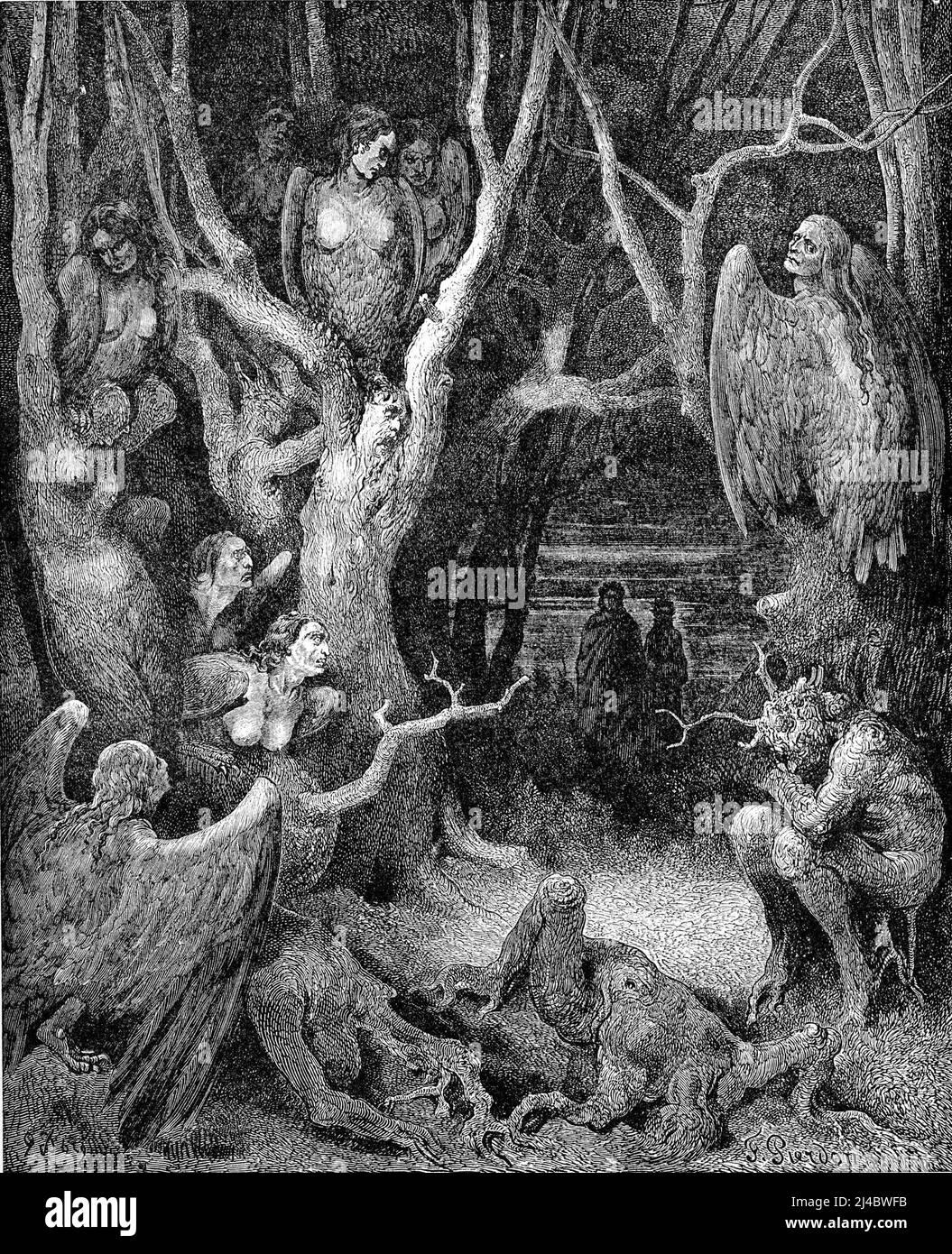 Arpie nel bosco dei suicidi, da Inferno canto XIII, illustrazione di Gustave Doré, 1861 Foto Stock