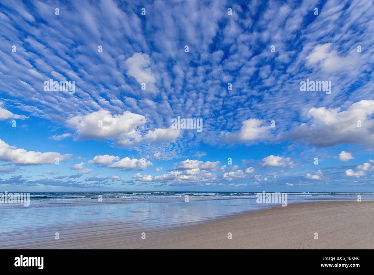 75 miglia di spiaggia su Fraser Island, Queensland, Australia Foto Stock